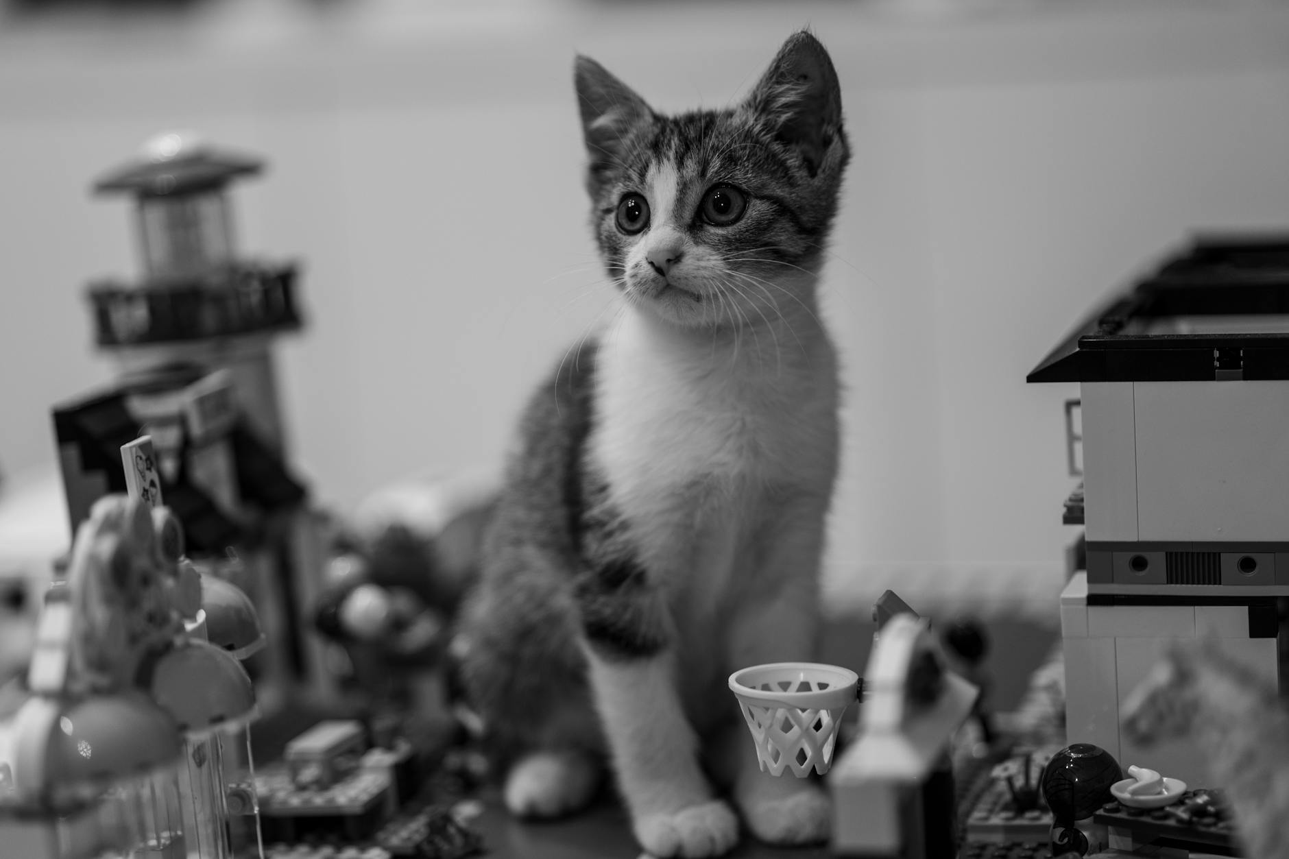 Uczestnicy Klockowiska w Radlinie prezentują swoje konstrukcje z klocków LEGO